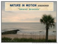 Nature in Motion - Island Breezes screenshot